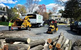 How Our Tree Care Process Works  in Fairfield, OH